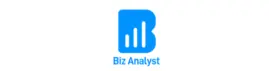 Biz Analyst Download